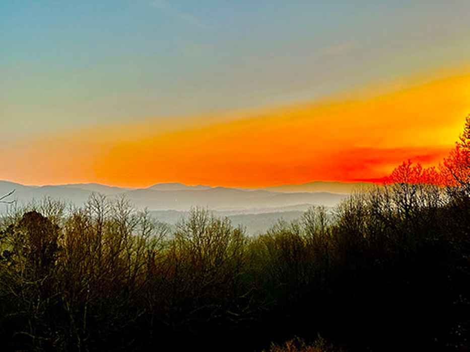  Squirrel Hunting Road, Morganton, GA 30560 - Main Photo