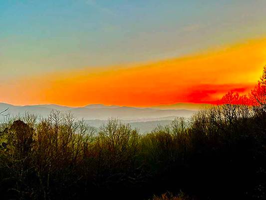  Squirrel Hunting Road