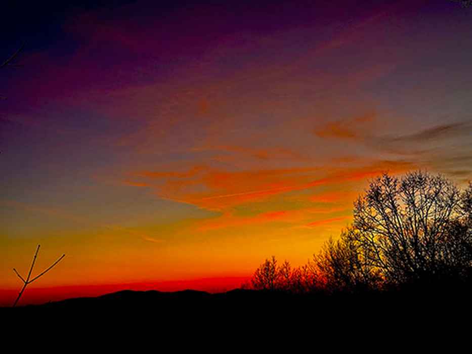  Squirrel Hunting Road, Morganton, GA 30560 - Photo 3