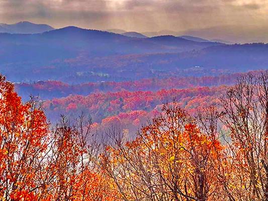  Squirrel Hunting Road, Morganton, GA 30560 - Photo 6