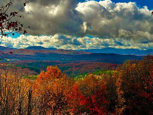  Squirrel Hunting Road, Morganton, GA 30560 - Photo 7