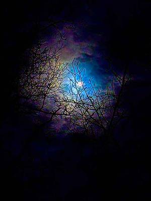  Squirrel Hunting Road, Morganton, GA 30560 - Photo 8