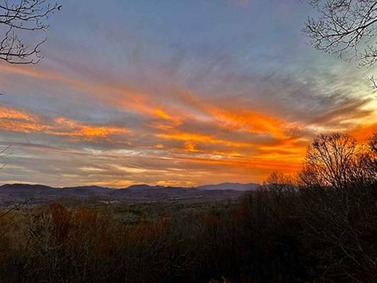  Squirrel Hunting Road, Morganton, GA 30560 - Photo 11