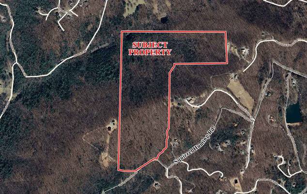  Squirrel Hunting Road, Morganton, GA 30560 - Photo 13