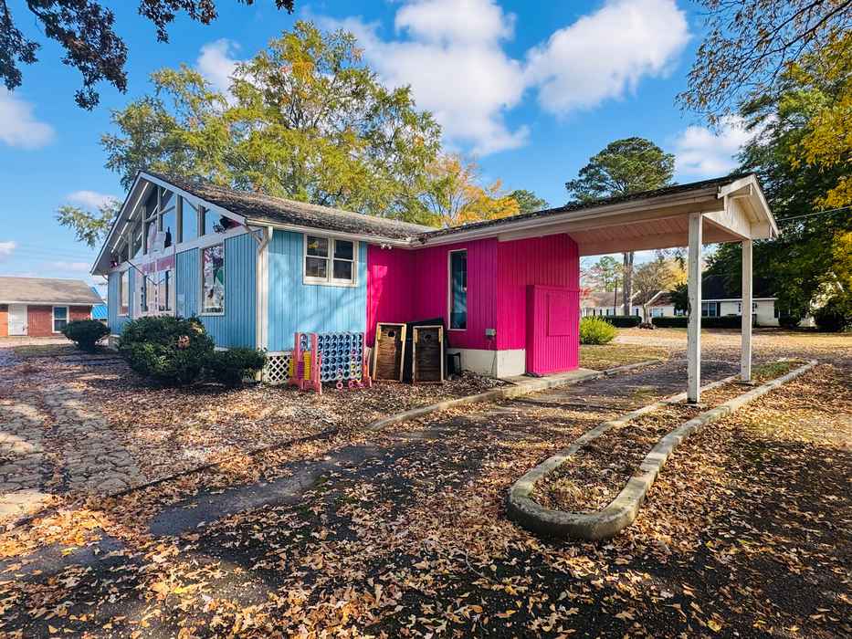 685 Jeff Davis Drive, Fayetteville, GA 30214 - Photo 2