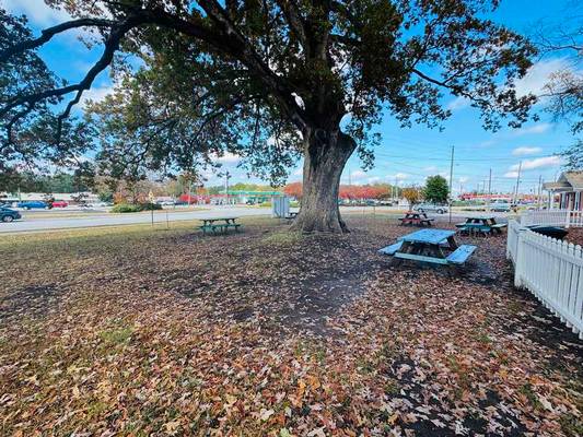 685 Jeff Davis Drive, Fayetteville, GA 30214 - Photo 7