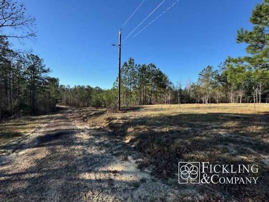 4747 Donnan Road, Macon, GA 31217 - Photo 6